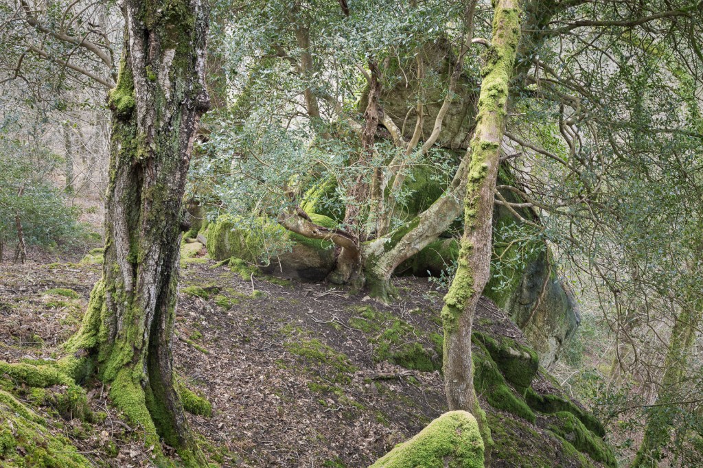 Steep ground around the Tor