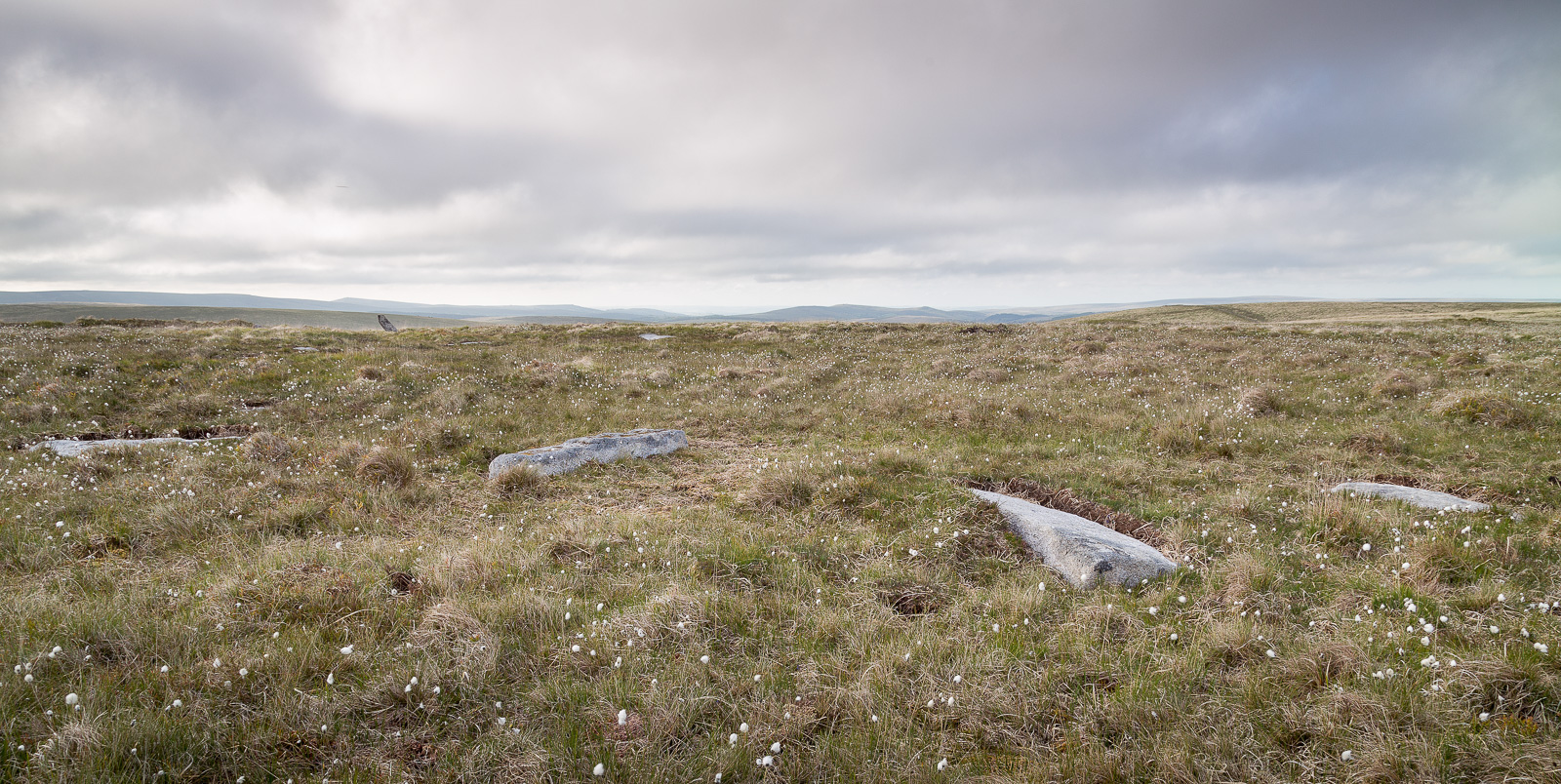 Circle facing South East
