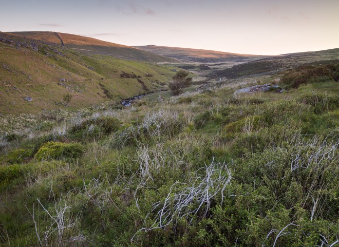 First light East Dart