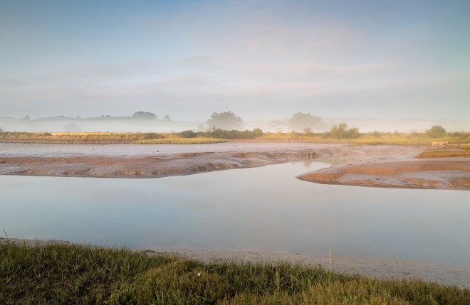 Near Turf Locks, Exe Estuary, dawn