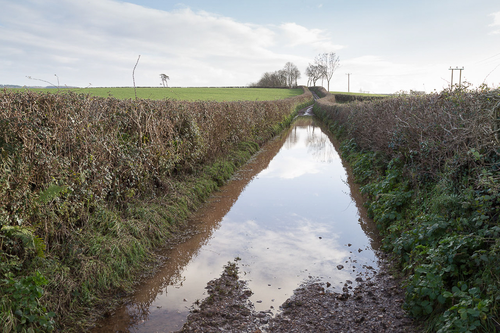 Hamblecombe Lane, Ideford