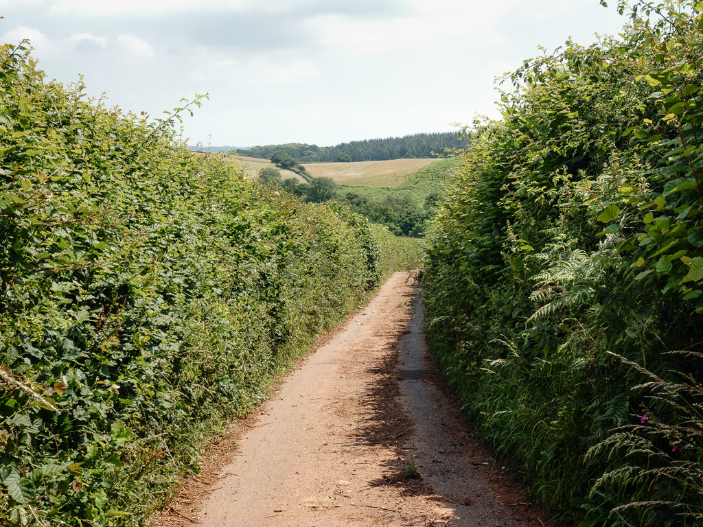The lane narrows further uphill