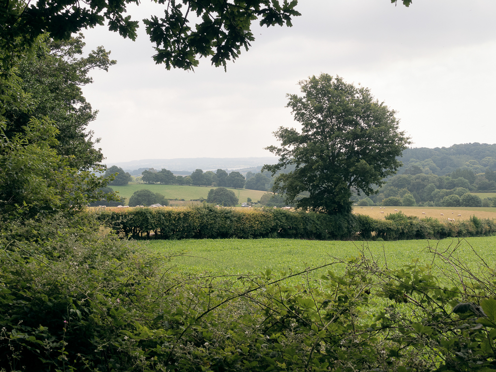 Reaching level ground, Holloway Lane 15
