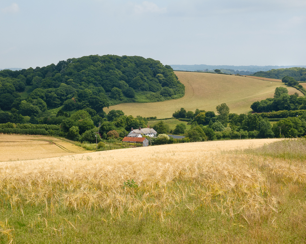 Two Green Lanes near the Haldon Hills (Part&nbsp;2)