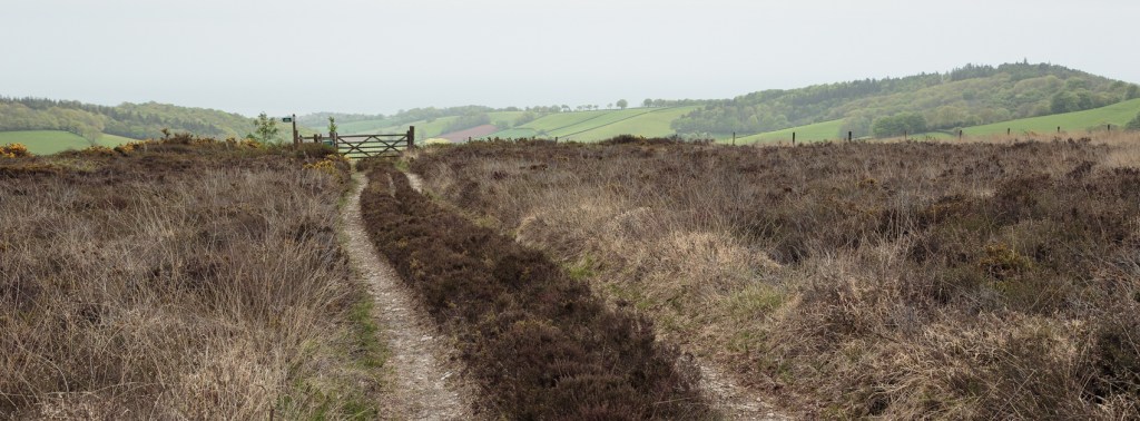 Beginning of footpath to Lidwell Chapel