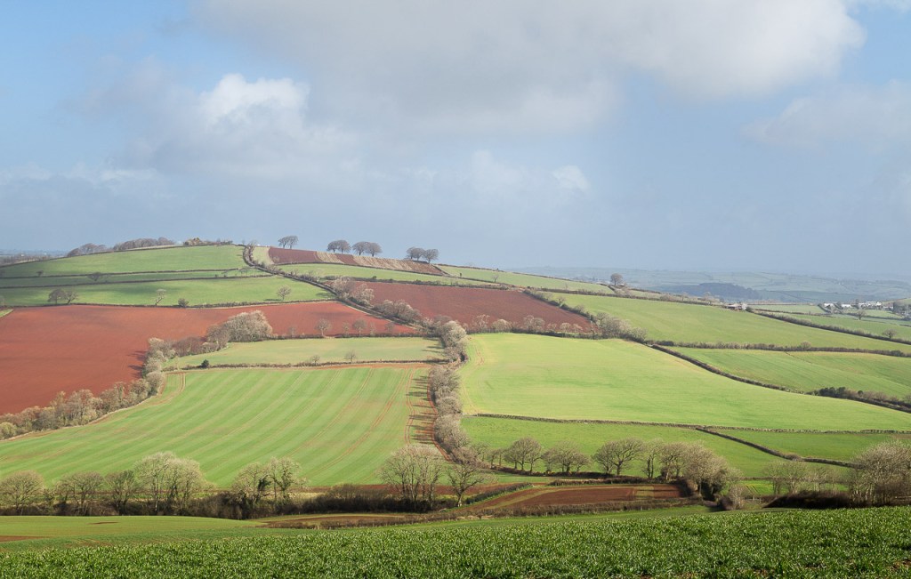 Toward Cadbury from Raddon Hills