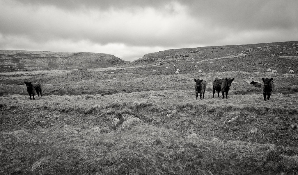 Near Sandy Hole Pass