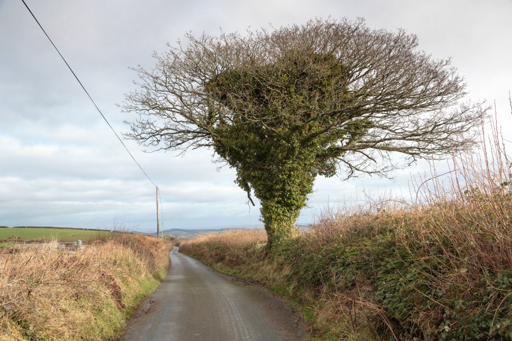 Lane back to Bridford
