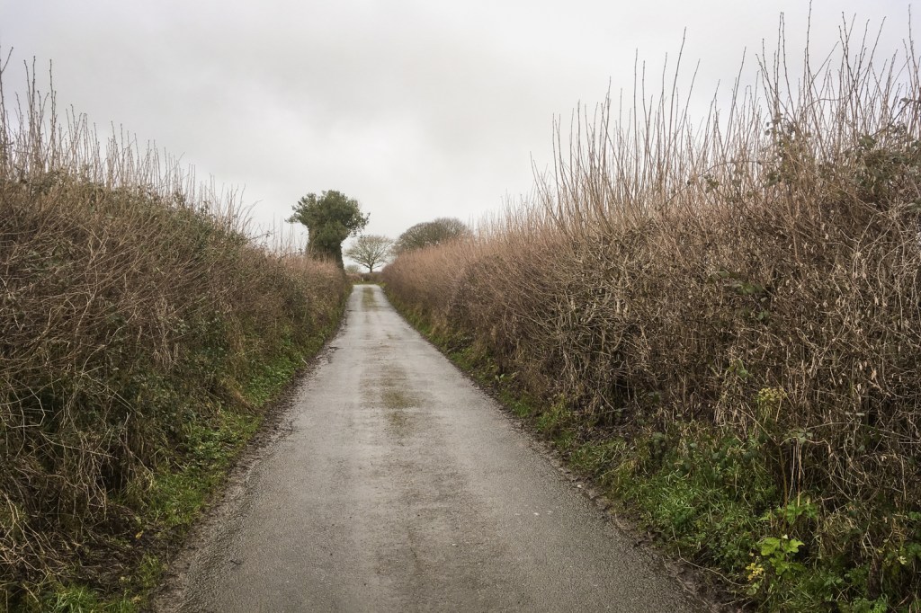 Lane to Heltor Rocks from Bridford