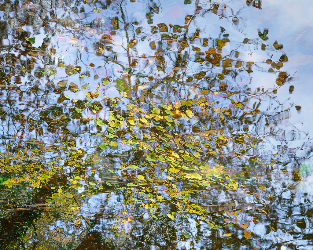 The Teign at Dunsford, Autumn 2019 #2