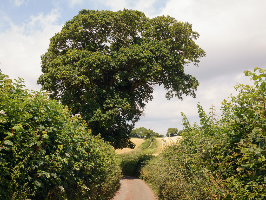 Moving forward on lane near Berber Hill