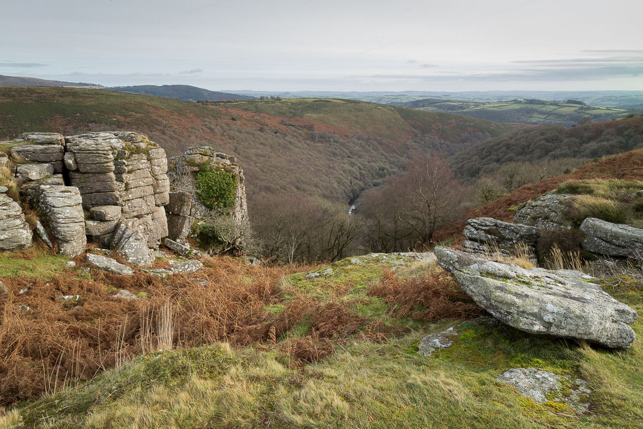 Dart Valley from Bench Tor