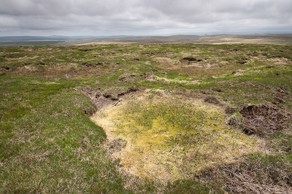 Cut Hill summit hags and blanket bog (it had to be colour!)