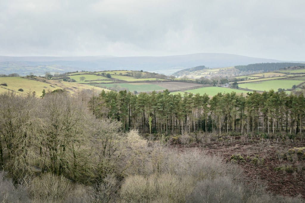 Cosdon Hill in the distance