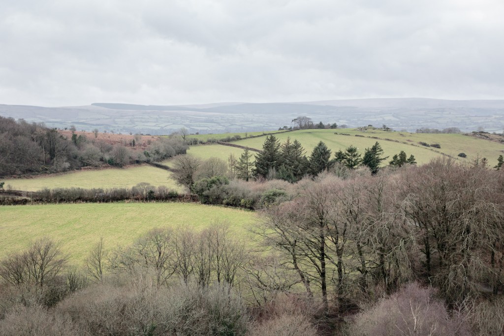 Toward Fernworthy from Blackingstone
