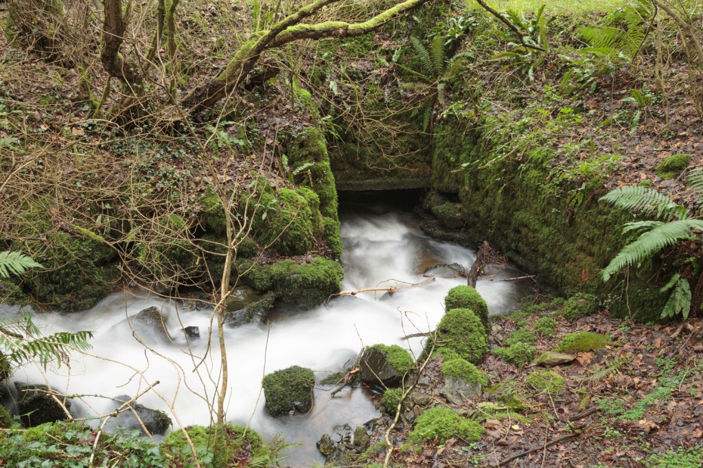 Footbridge, lane from Bridford to Christow