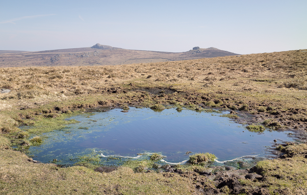 Top Tor Tarn
