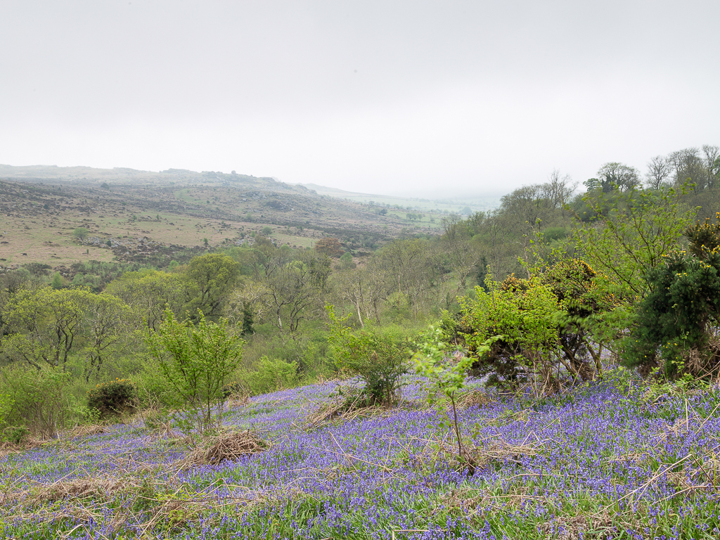 When the image that means the most means the least to everyone else