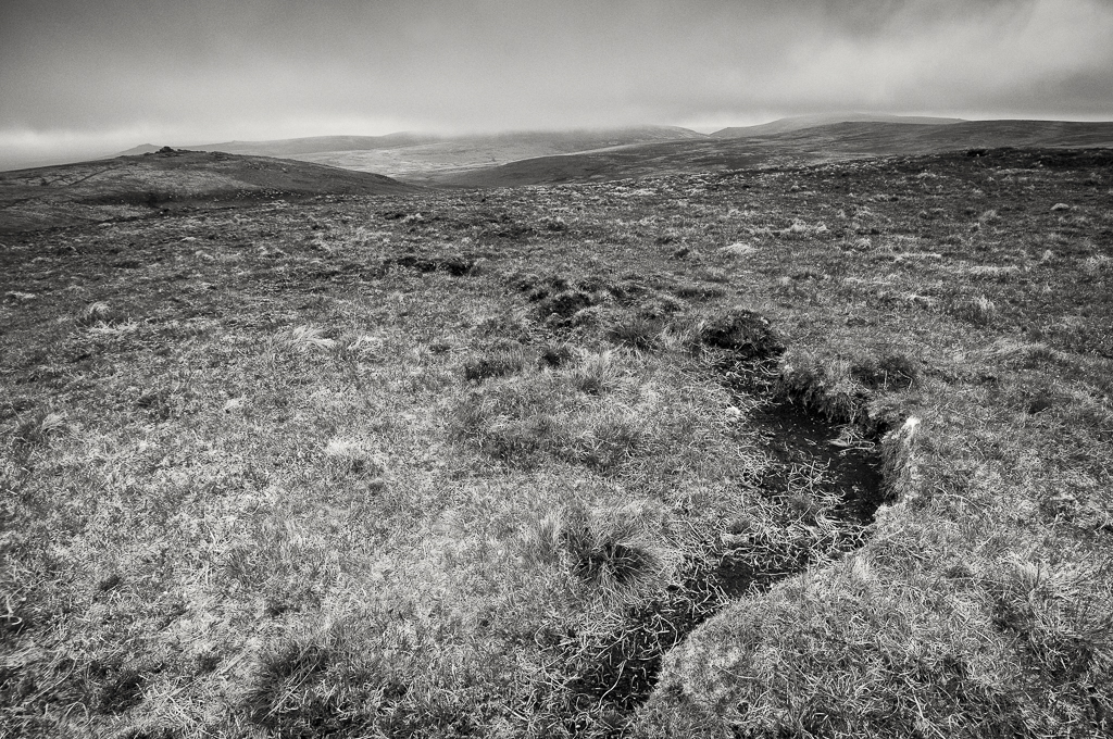 First glimpse, Fur tor