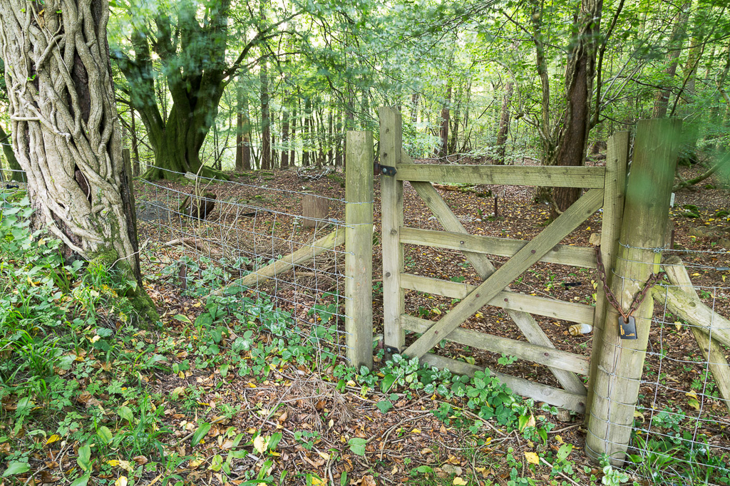 Locked entrance gate