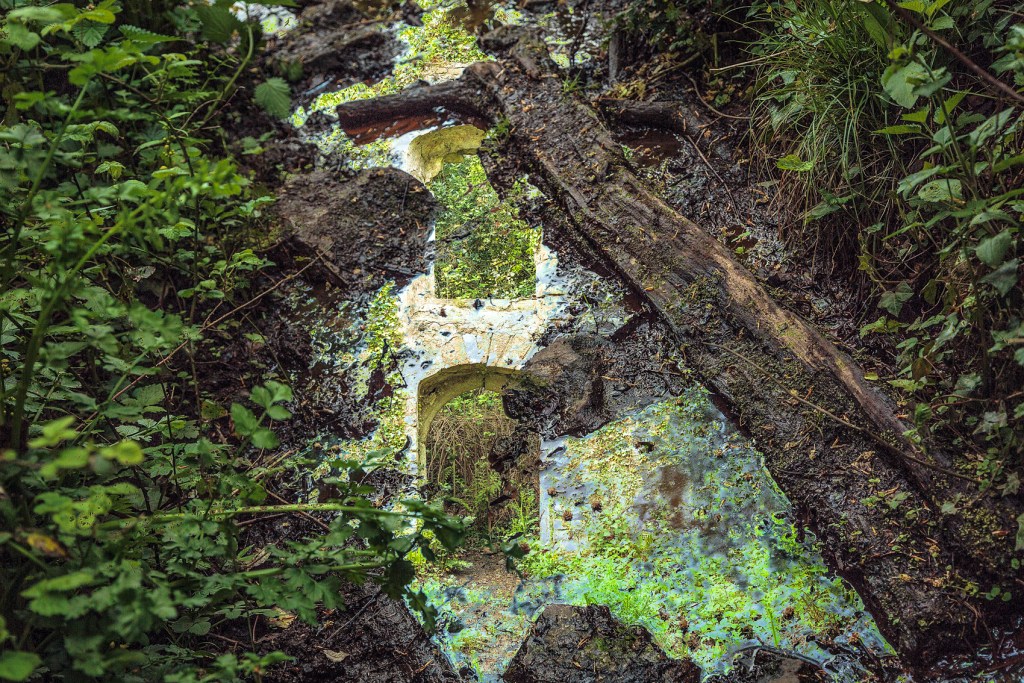 Mud and water and...