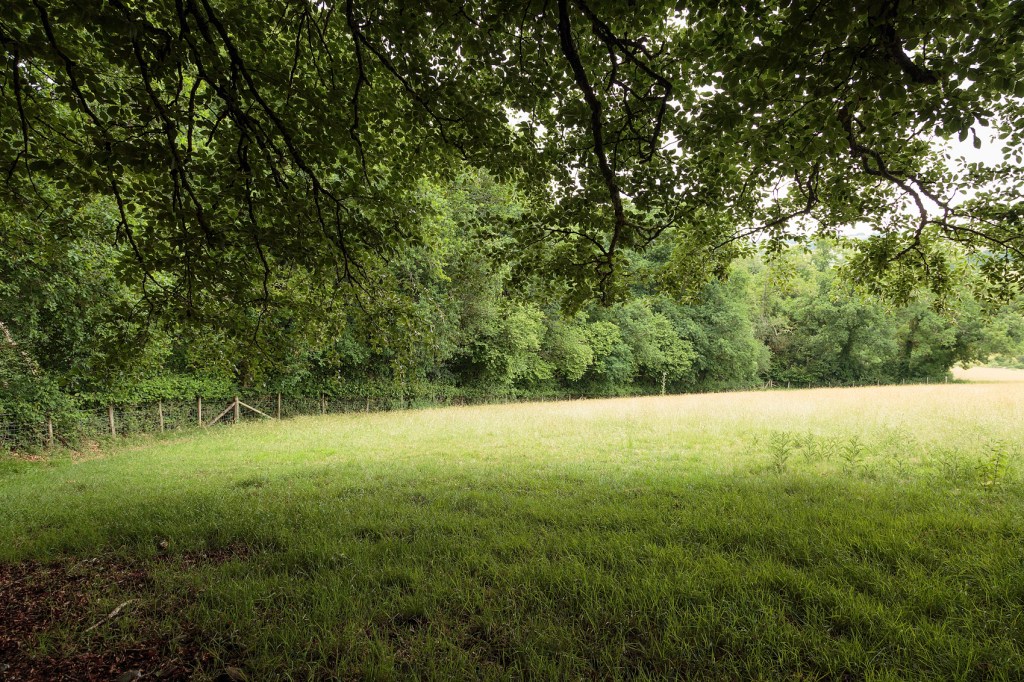 Path to the grounds, Lidwell Chapel